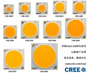 配圖01_CXA2 family_01 (300x243).jpg