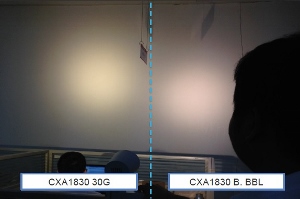 配圖11 (300x199).jpg